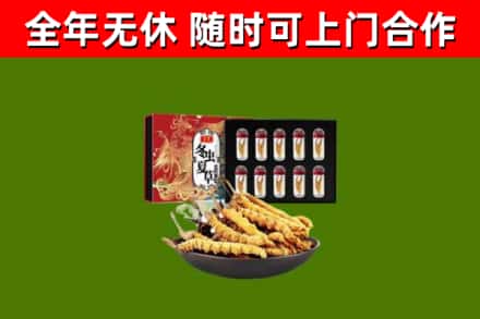 嘉义市回收冬虫夏草价格